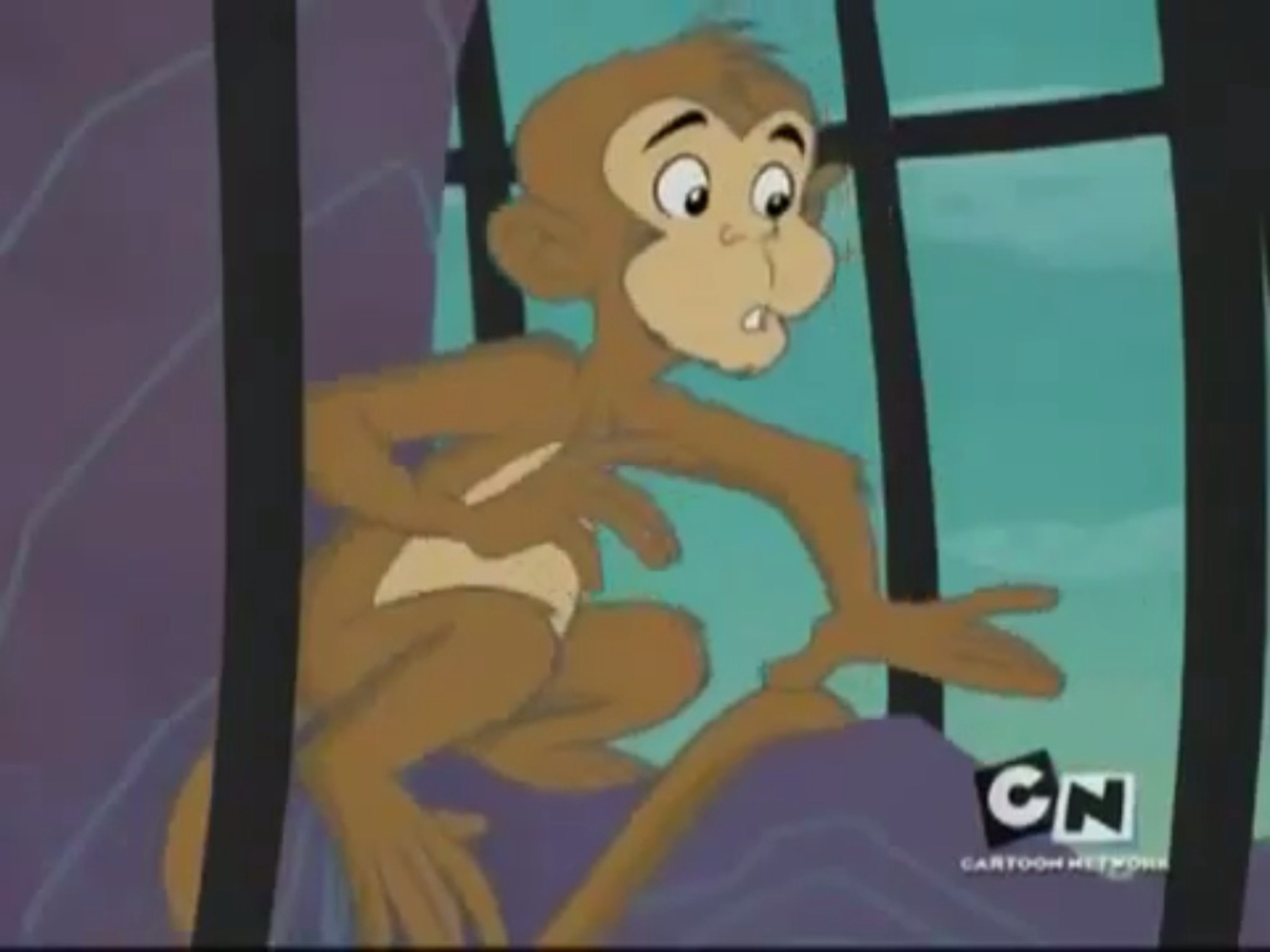 Albert Monkey